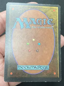 ***Savannah (Light Indent)*** MTG Revised Magic Kid Icarus - Image 4