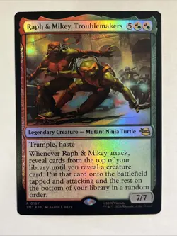 Raph & Mikey, Troublemakers Teenage Mutant Ninja Turtles Foil - Image 1