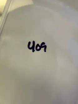 Magic The Gathering: Alpha Earthbind MTG Alpha - Image 3