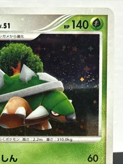 TORTERRA 1st EDITION DP Entry Pack Full Holo Pokemon 2007 Card Japanese LP - Image 3