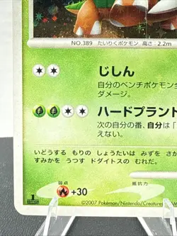 TORTERRA 1st EDITION DP Entry Pack Full Holo Pokemon 2007 Card Japanese LP - Image 4