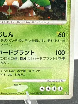 TORTERRA 1st EDITION DP Entry Pack Full Holo Pokemon 2007 Card Japanese LP - Image 5