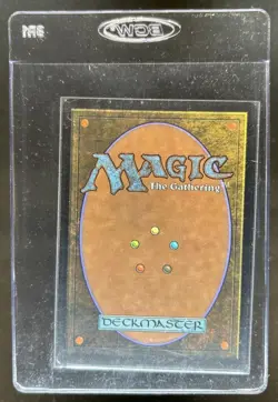 2026 Magic The Gathering Ocelot Pride Promo Foil Store Championship Card #0047 - Image 2