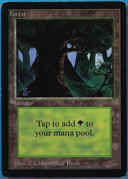 Forest (C Dark Tree) Beta PLD Basic Land MAGIC MTG CARD (ID# 500745) ABUGames - Image 1