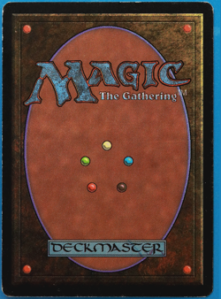 Forest (C Dark Tree) Beta PLD Basic Land MAGIC MTG CARD (ID# 500745) ABUGames - Image 2