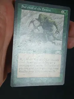 MTG Magic The Gathering Survival of the Fittest Exodus Regular 1998 TCG LP - Image 3