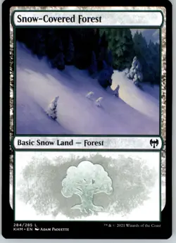 Snow-Covered Forest - Kaldheim - 284 - NM - Image 1