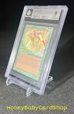 MTG Legends 1994 Arboria BGS 9.0Q+ (Quad+) MINT Old School 93/94 - Image 3