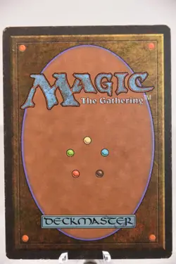 Diminishing Returns - Alliances - LP - Magic the Gathering - Image 2