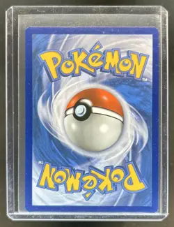 2019-2023 Pokemon SWSH Black Star Promos Greninja #SWSH144 - Image 2