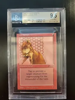 Hurr Jackal Arabian Nights BGS 9.5B MTG - Image 1