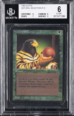 1993 MAGIC: THE GATHERING ALPHA NATURAL SELECTION BGS 6 - Image 1