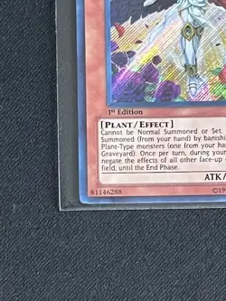 Rosaria, The Stately Fallen Angel PRC1-EN016 1st Edition Yu-Gi-Oh - Image 5