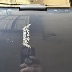 1999 Pokemon Japanese Neo Genesis Series 1 Promo 9-card Set Binder Excellent - Image 2