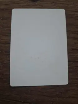 Nath Of The Gilt-leaf Artist Proof SIGNED By Kev Walker Magic The Gathering - Image 2