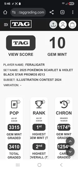 Pokemon Feraligatr #213 Illustration Contest 2024 Promo Scarlet & Violet Regular - Image 3