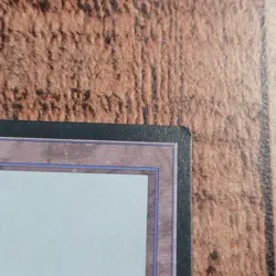 MTG Vintage 1995 Brushland 352 Rare Ice Age Land Trading Card TCG Magic 4th - Image 2