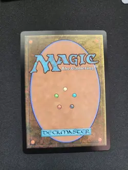 1x Forest (411) - Foil - Retro Frame MTG Dominaria Remastered NM Magic Foil - Image 3