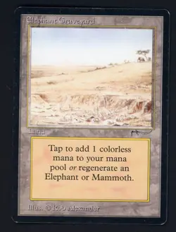 1993 MTG Magic The Gathering Arabian Nights Elephant Graveyard - Image 1