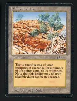 1993 MTG Magic The Gathering Arabian Nights Diamond Valley - Image 1