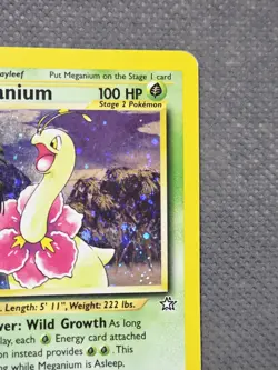 Meganium 10/111 Holo Rare (2000) Neo Genesis WoTC TCG Vintage Pokemon - Image 4