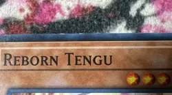 3x (VLP) - Reborn Tengu - SDPL-EN012 - Common - 1st Edition YuGiOh - Image 3