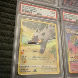 Pokemon TCG Lot (4) - Litleo, Oricorio ex, Poochyena, Alolan Exeggutor ex - PSA… - Image 5