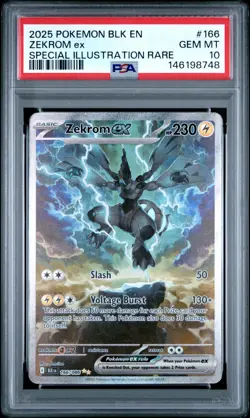PSA 10 Zekrom ex 166/086 Pokemon Black Bolt Special Illustration Rare 2025 - Image 1