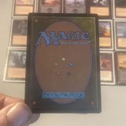 Magic: The Gathering 15 Card Lot - Black, Green Creature, Land, Sorcery - Image 1