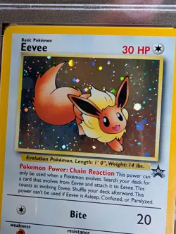 2000 Pokemon Promo Black Star Eevee #11 Promo-Pokemon League PSA 7 - Image 5