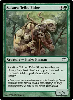 MTGO Magic Online CHK Champions of Kamigawa Playset 876 Cards 4x Common/Uncommon - Image 5