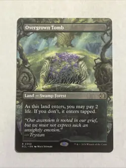 Overgrown Tomb (Borderless) Lorwyn Eclipsed Regular - Image 1