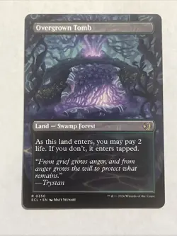 Overgrown Tomb (Borderless) Lorwyn Eclipsed Regular - Image 2