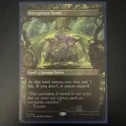 Overgrown Tomb (Borderless) Lorwyn Eclipsed Near Mint MTG Magic The Gathering - Image 1