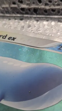 Pokemon Wailord ex Holo Card 100/100 EX Sandstorm 2003 Ultra Rare DMG READ - Image 3