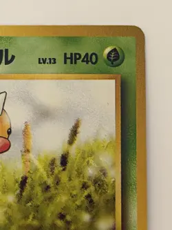 Koga's Beedrill No.013 Old Back Vintage Japanese Pokemon Card From Japan - Image 3