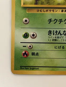 Koga's Beedrill No.013 Old Back Vintage Japanese Pokemon Card From Japan - Image 4
