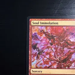 Soul Immolation Mythic Regular MTG Lorwyn Eclipsed #156 NM - Image 2