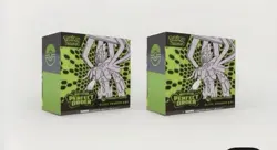 X2 Perfect Order Pokemon Center Elite Trainer Box (ETB) - PRESALE CONFIRMED 🔥 - Image 1