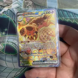 Pokemon TCG Stellar Crown Dachsbun EX SIR Holo Card 169/142 Near Mint - Image 2