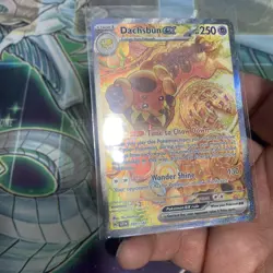 Pokemon TCG Stellar Crown Dachsbun EX SIR Holo Card 169/142 Near Mint - Image 5