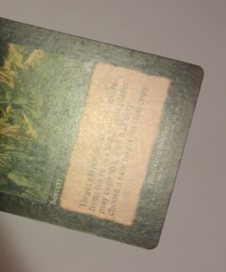 Chain of Smog LP MTG Onslaught Magic the Gathering - Image 4