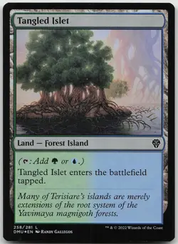 Tangled Islet FOIL 258 Land Dominaria United NM MTG - Image 1