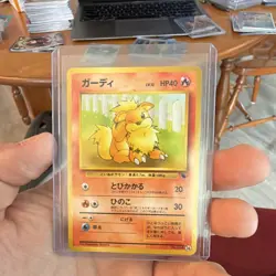 Pokemon Growlithe Intro Pack (Squirtle) Japanese Card 1996 Regular #26 - Image 1