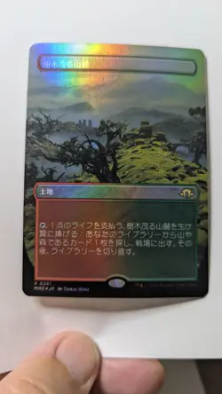 1x Wooded Foothills BORDERLESS JAPANESE FOIL NM MH3 - Magic MTG EDH Modern x1 - Image 1