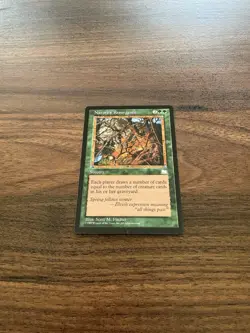 MTG - Nature's Resurgence - Weatherlight - Magic the Gathering LP - Image 2