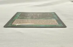 Krosan Wayfarer x1 *FOIL* MTG Judgment 1x Magic Good Heavy Play HP - Image 5