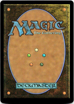 Dockside Chef (Rainbow Foil) Secret Lair Drop Series - MTG SLD 1629 NM/Mint 💀 - Image 3