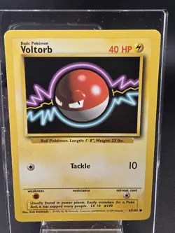 VOLTORB #67, Gym, Two Card Set, (Shadow) & (Shadowless) Origional Owner - Image 3