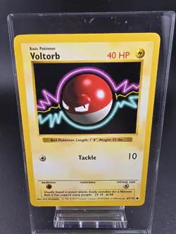 VOLTORB #67, Gym, Two Card Set, (Shadow) & (Shadowless) Origional Owner - Image 5